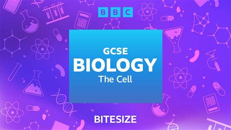 bbc bitesize biology.